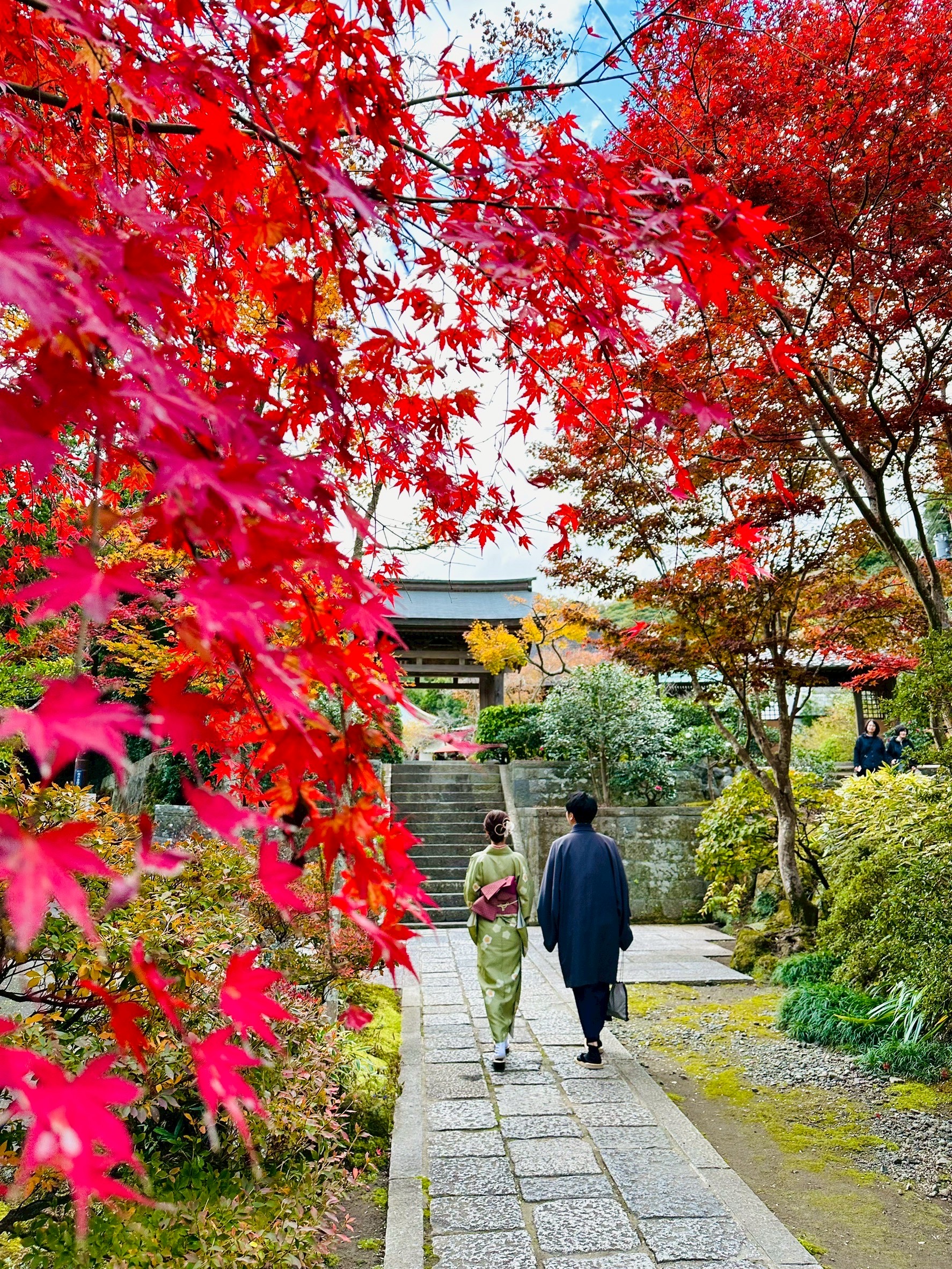 海蔵寺の美しい境内と四季の花々