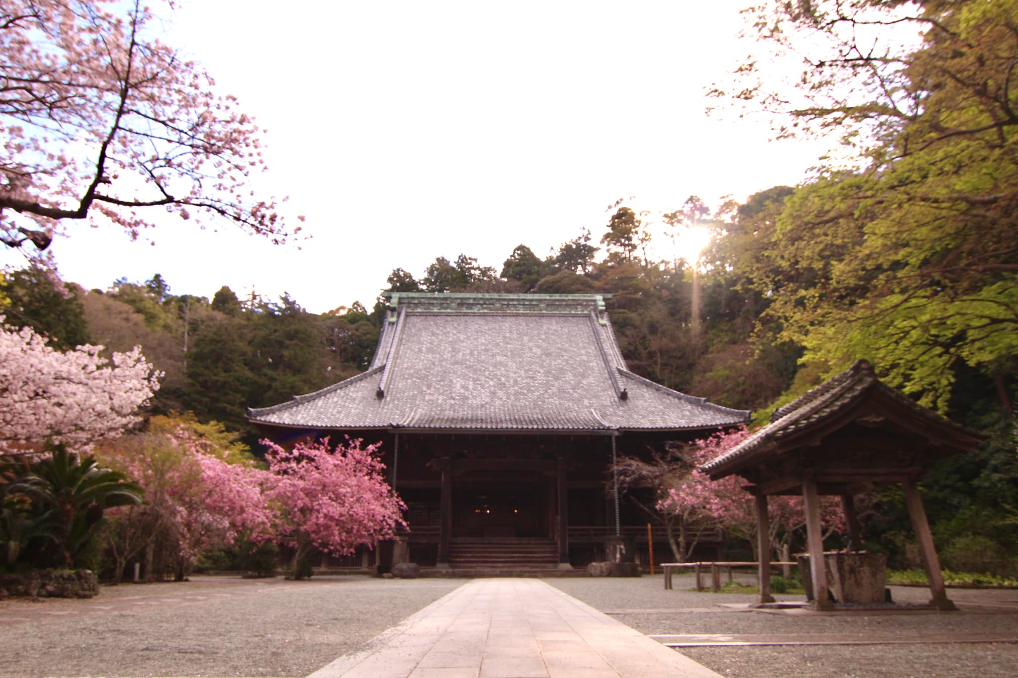 妙本寺の祖師堂