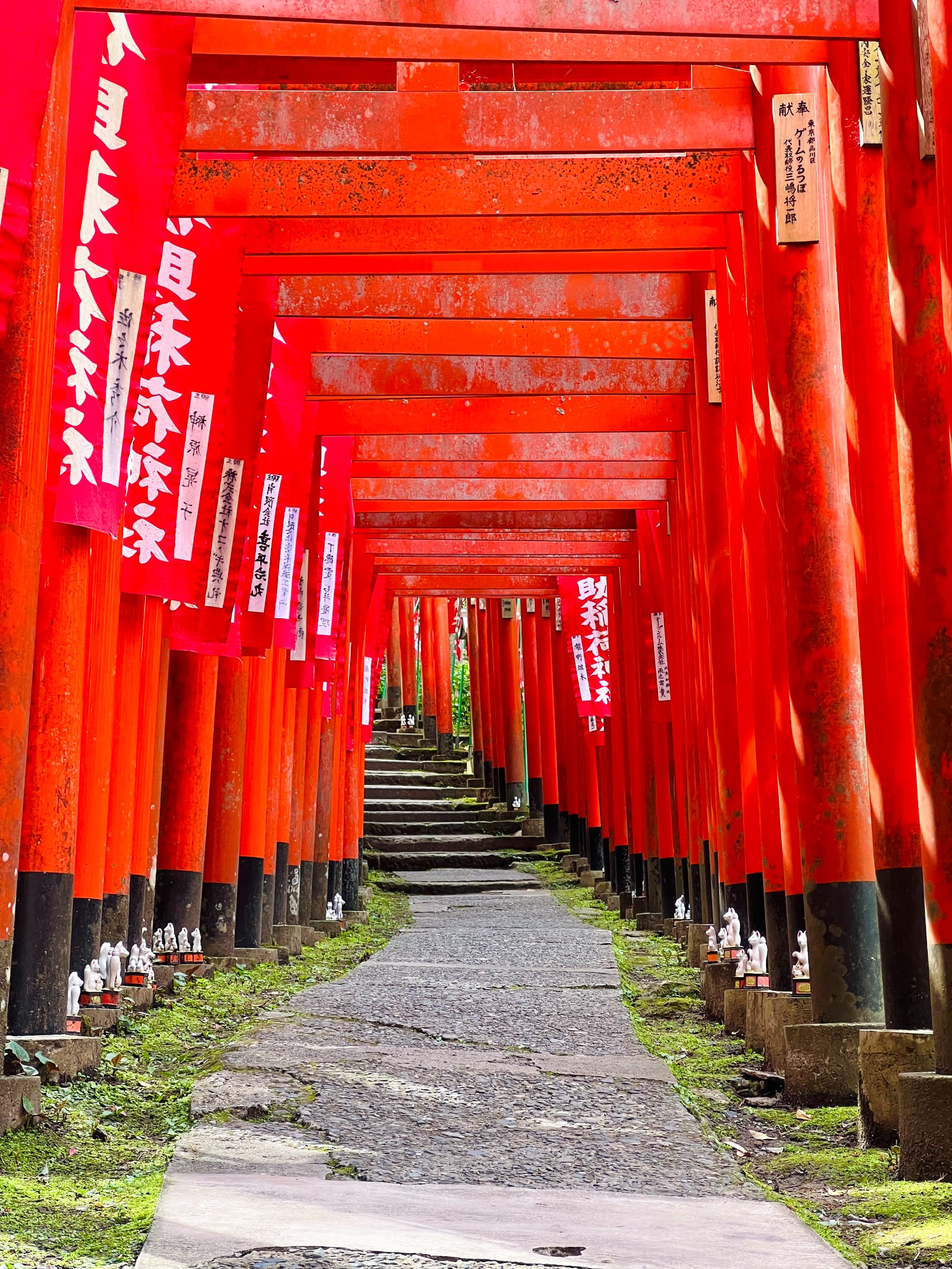 佐助稲荷神社の無数の赤い鳥居