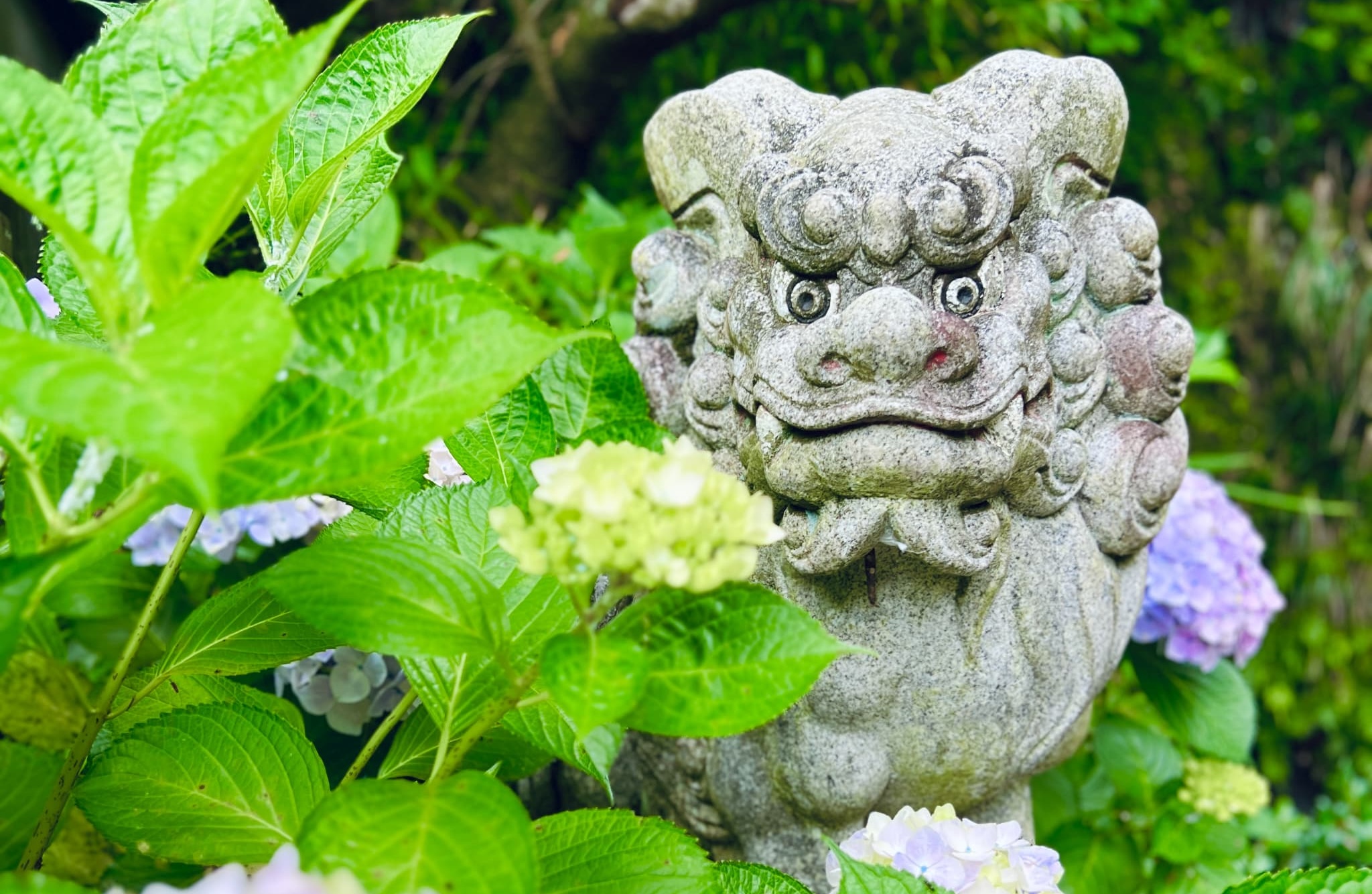 銭洗弁財天の狛犬